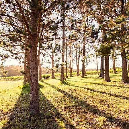 Ruse Estate Retreat Margaret River Rosa Glen Екстериор снимка