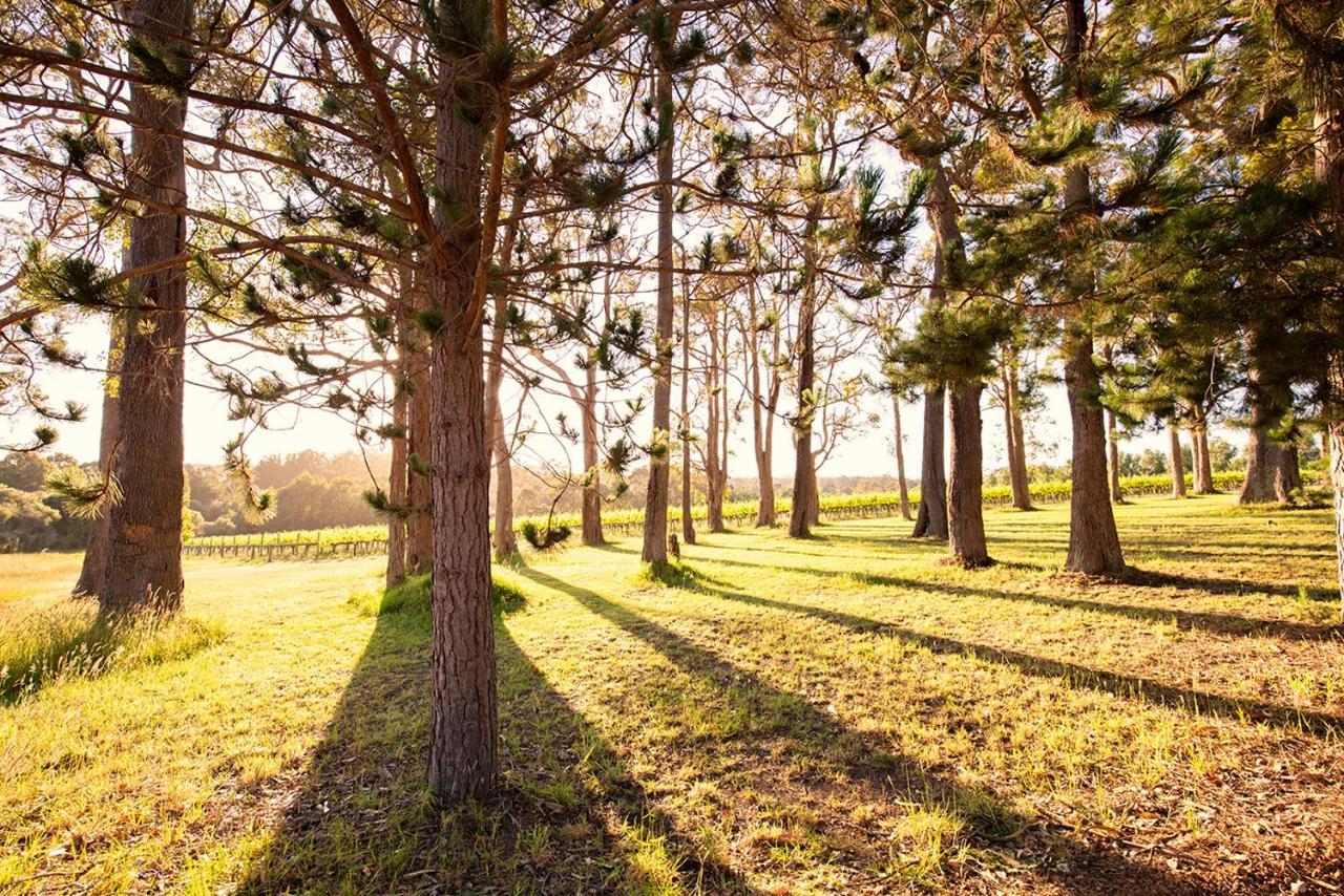 Ruse Estate Retreat Margaret River Rosa Glen Екстериор снимка